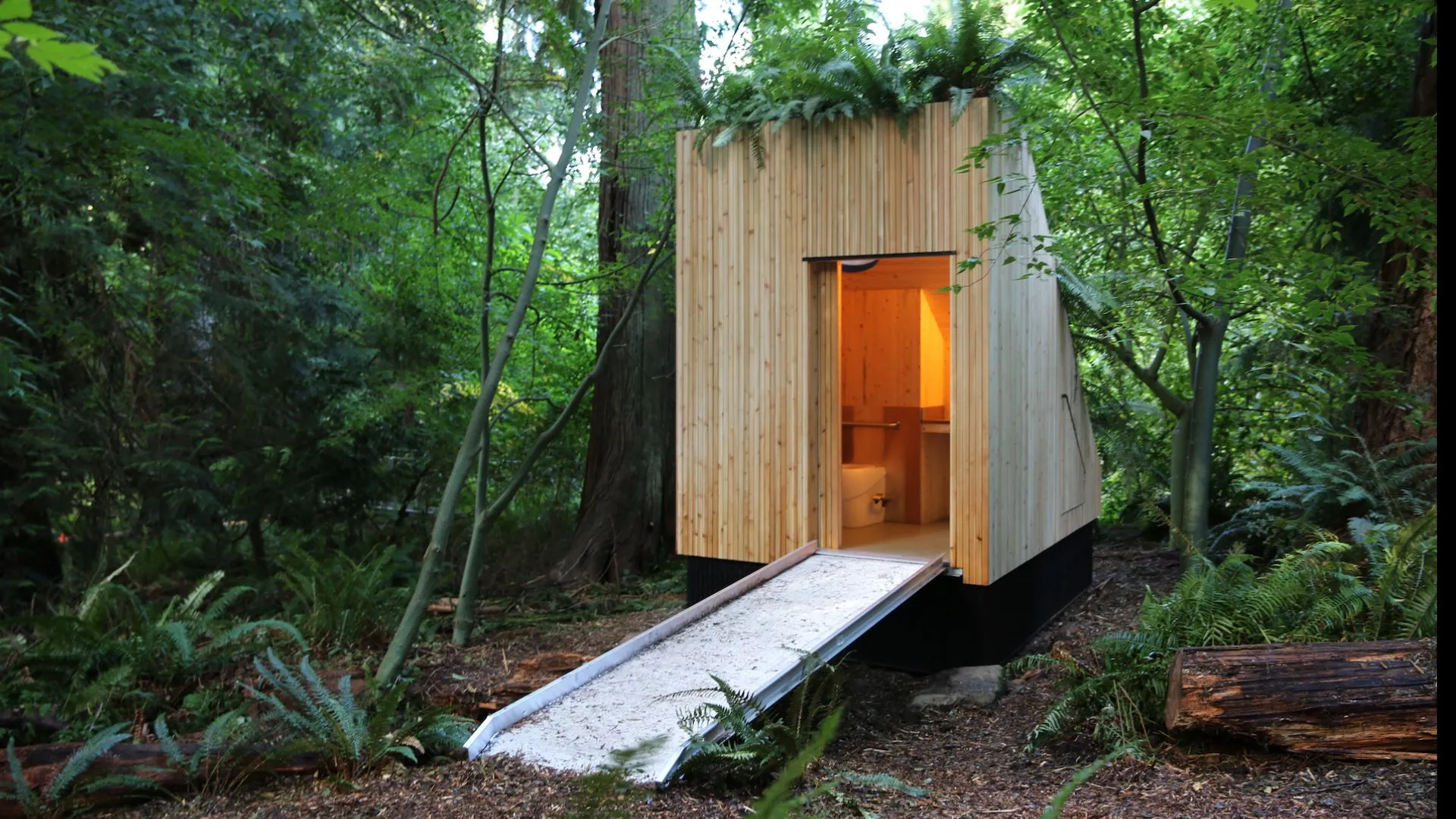 世界首個蘑菇驅動的廁所將廢物轉化為肥料