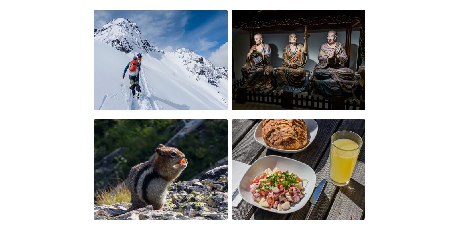 Adobe 說明其 DSLR 類相機應用 Indigo 不支援 iPhone 17 的原因