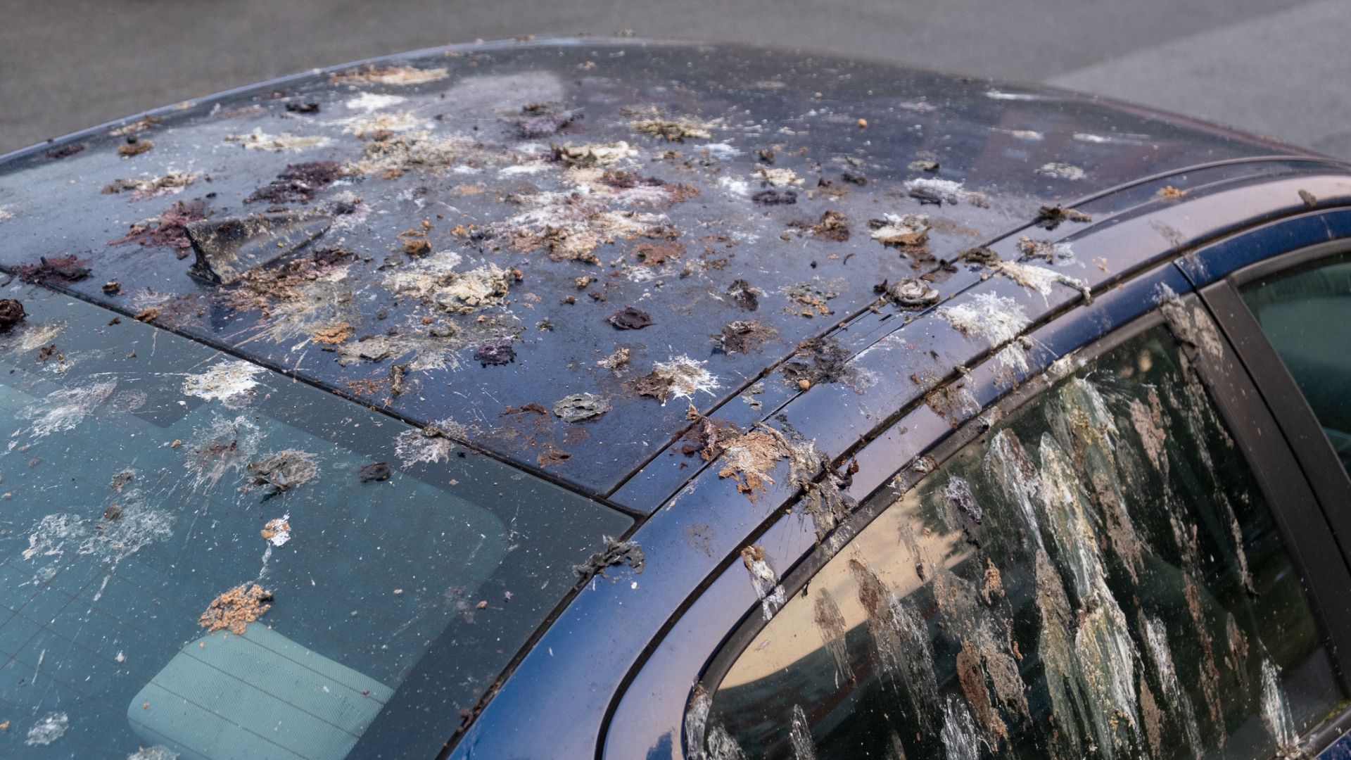調查顯示貨車遭遇鳥糞襲擊最嚴重