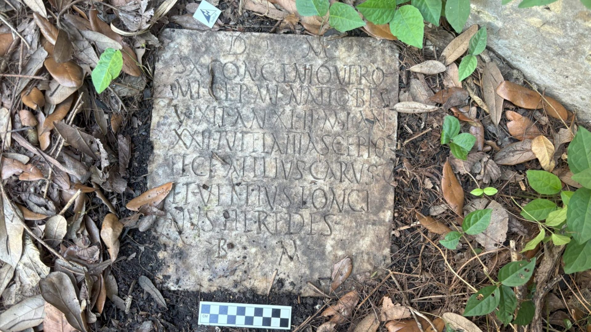 2,000 年歷史的羅馬墓碑現身新奧爾良後院