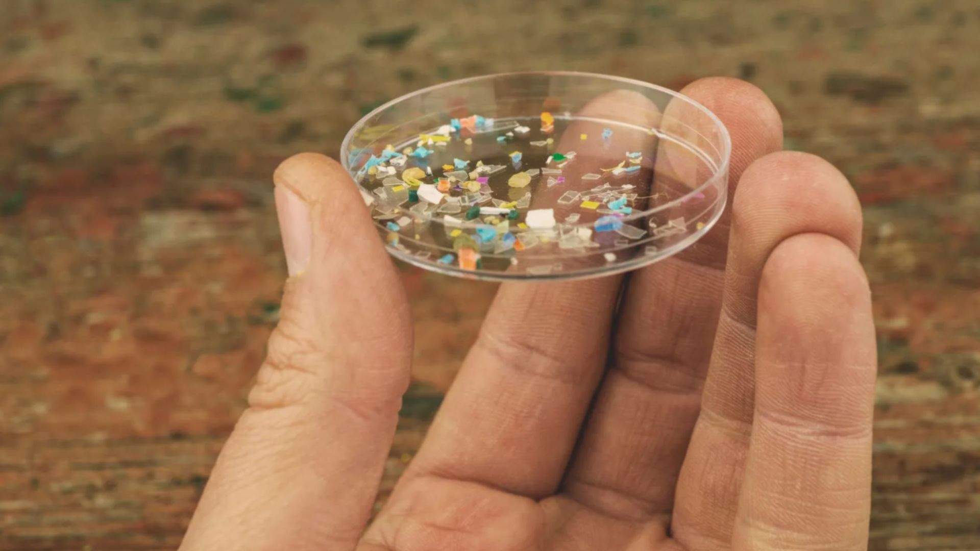 海洋涂層納米塑料的潛在影響與人體皮膚屏障之間的關係