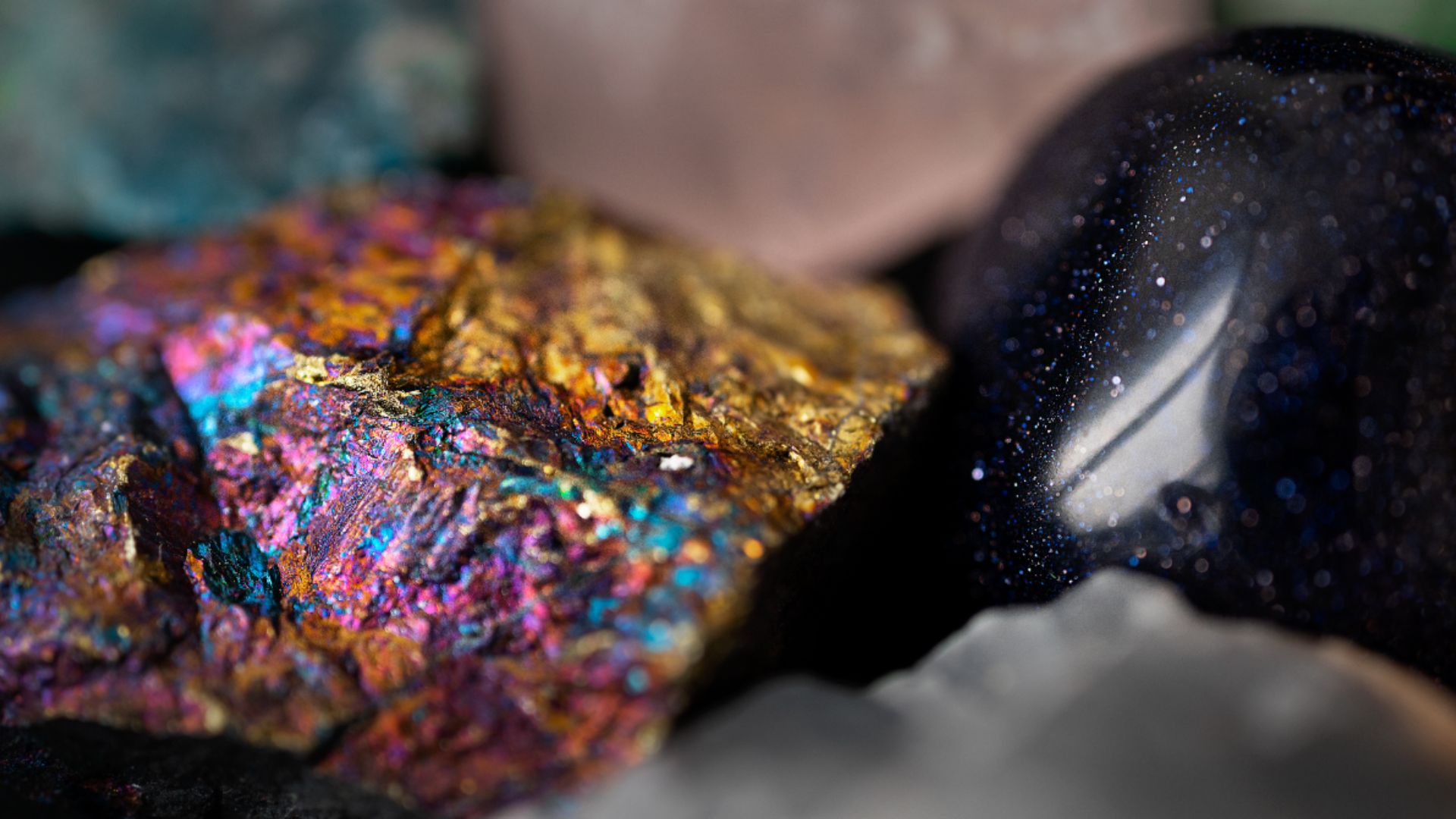 日常酵母或能解決全球稀土短缺問題