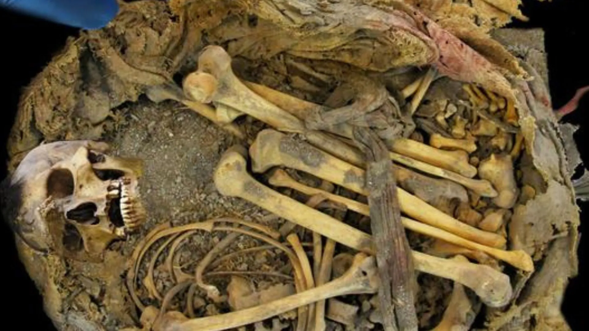 墨西哥千年古人木乃伊揭示古代腸道微生物組