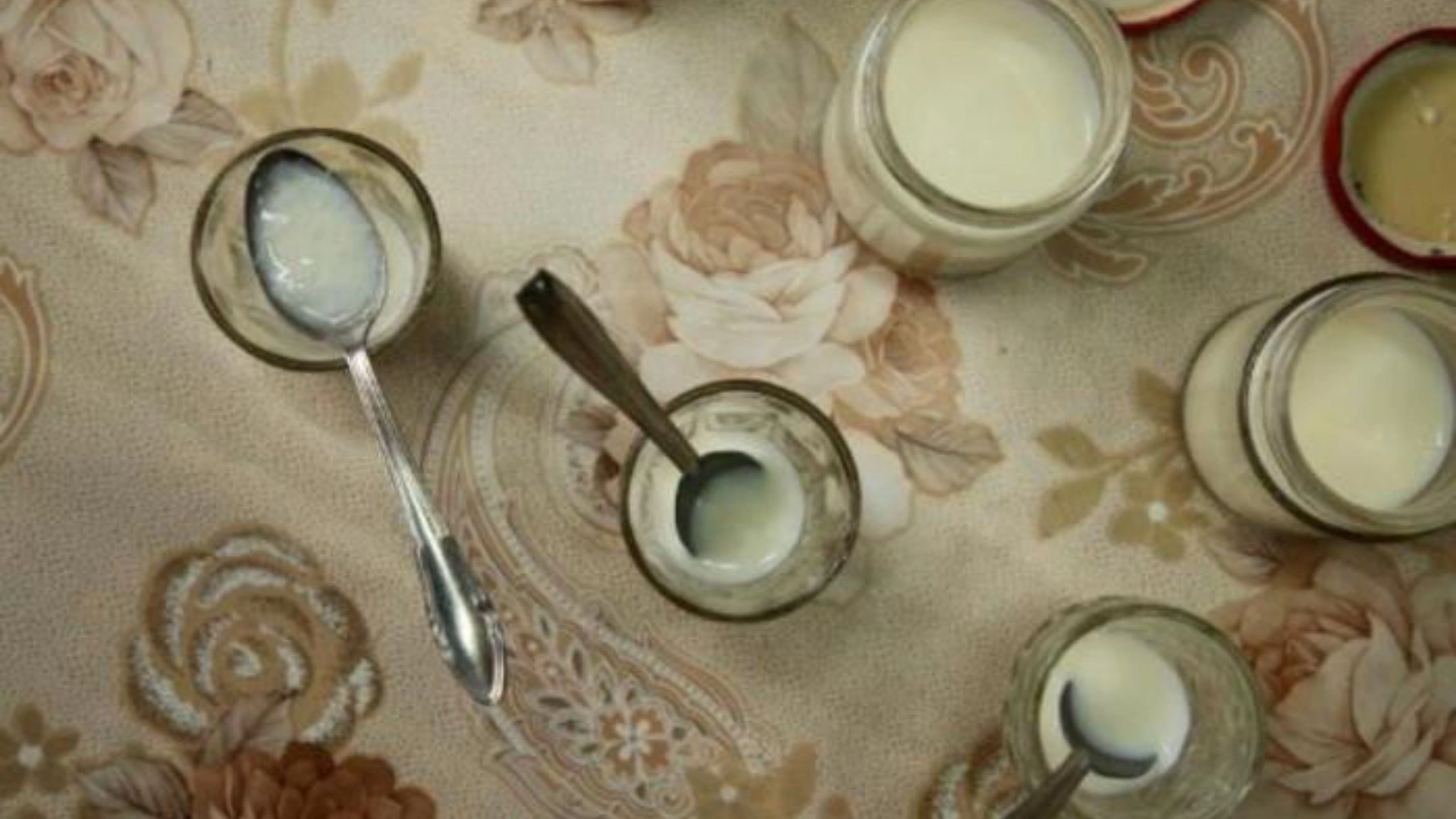 科學家復活巴爾幹地區的古老酸奶食譜