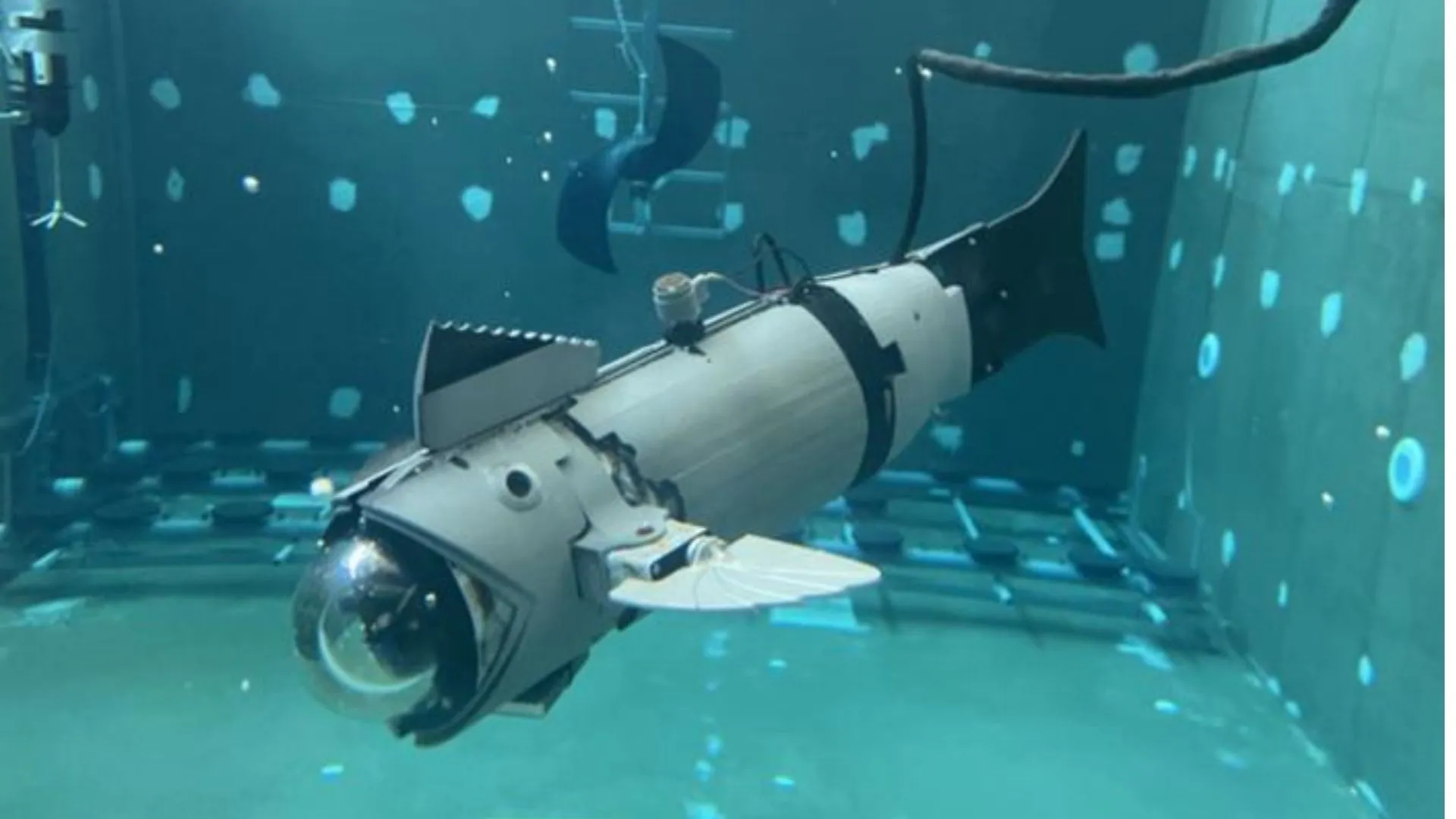 獲獎機器魚運用感測器提升魚場可持續性