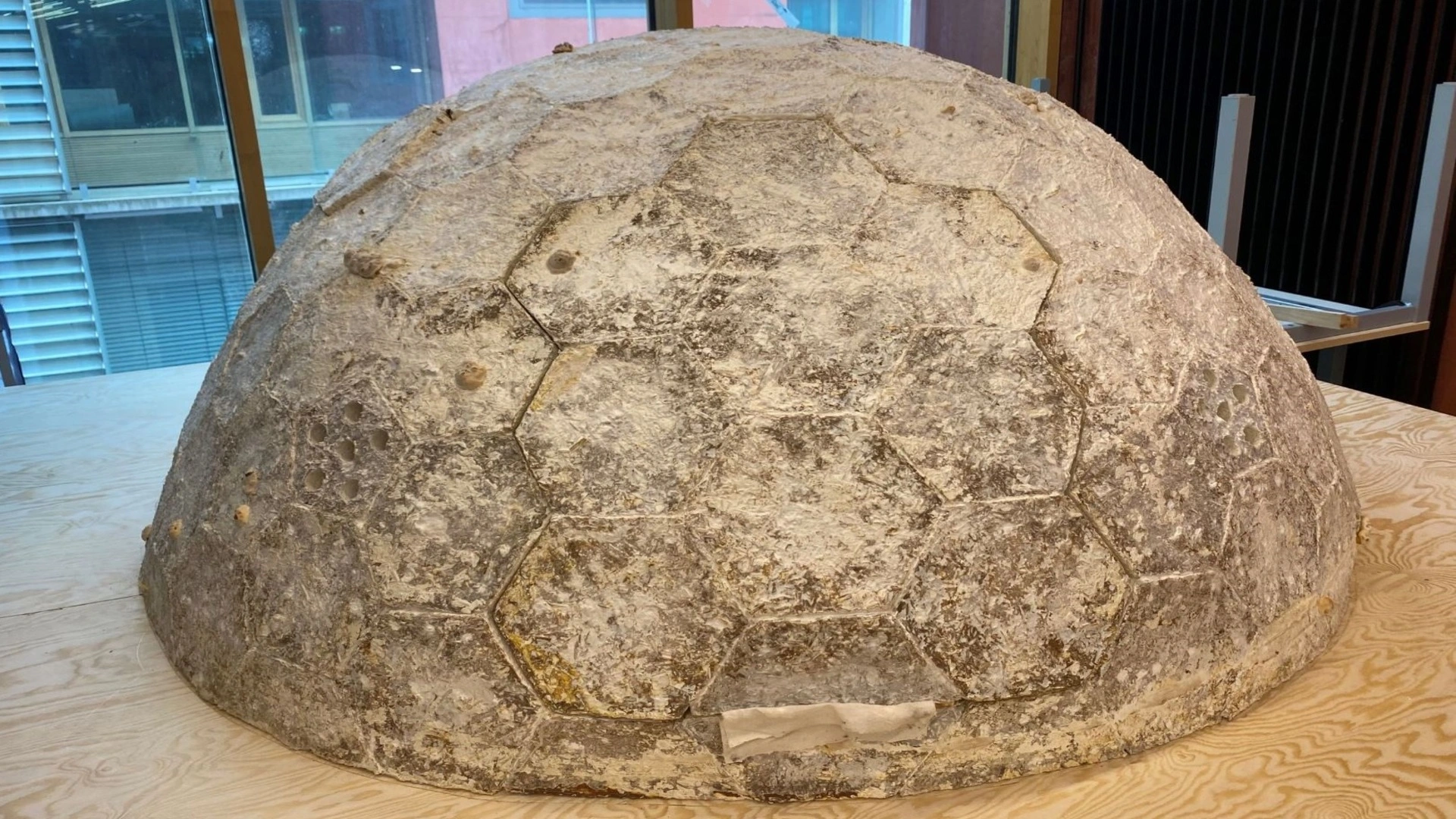 德國學生利用蘑菇建造可持續庇護所