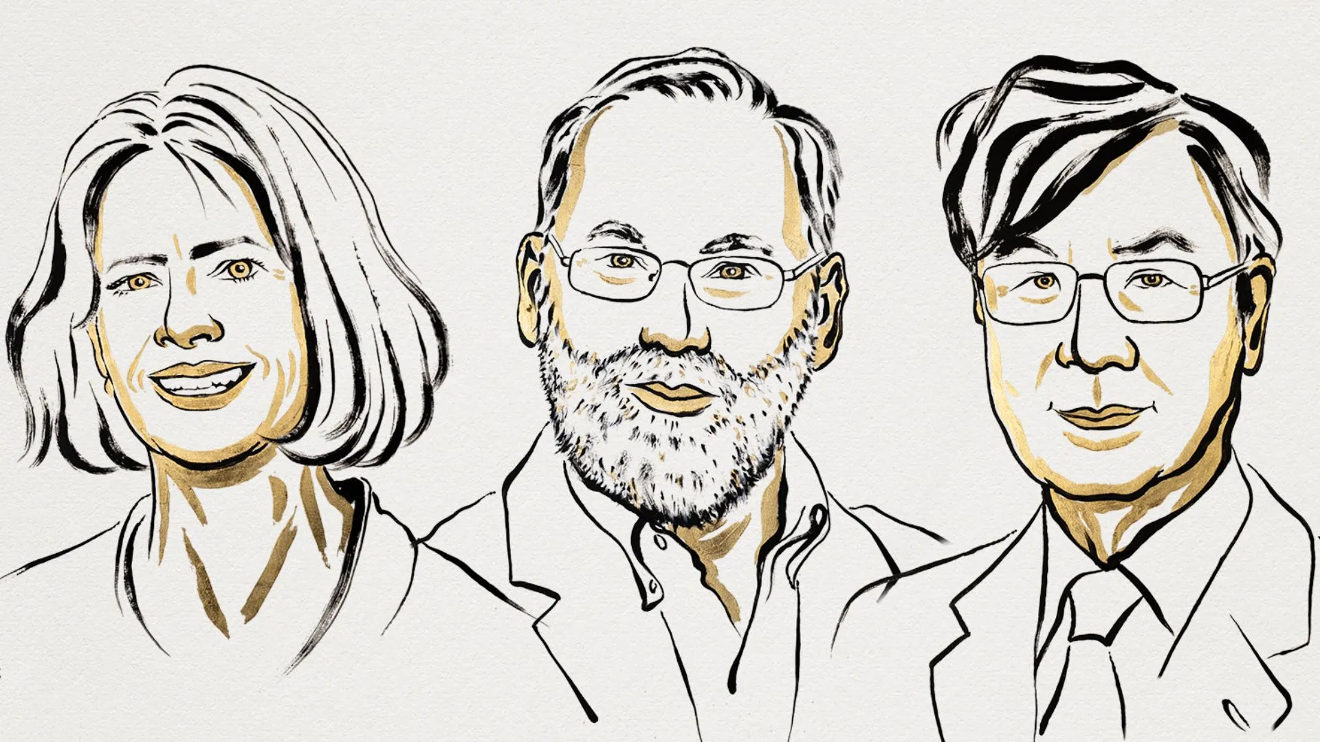 免疫自我控制的突破為 3 位科學家贏得 2025 年諾貝爾獎