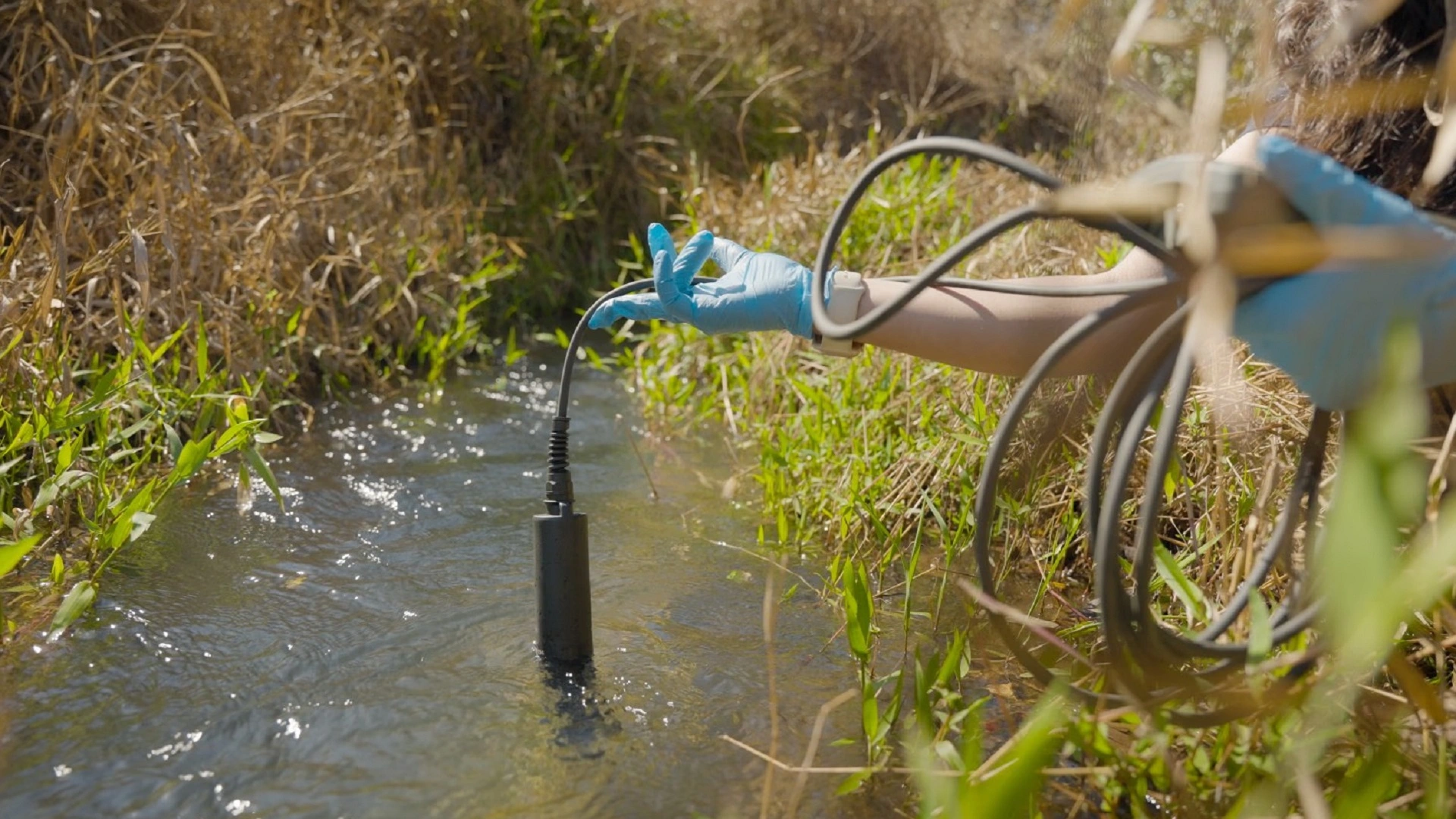巴西玄武岩項目將岩石轉化為碳匯