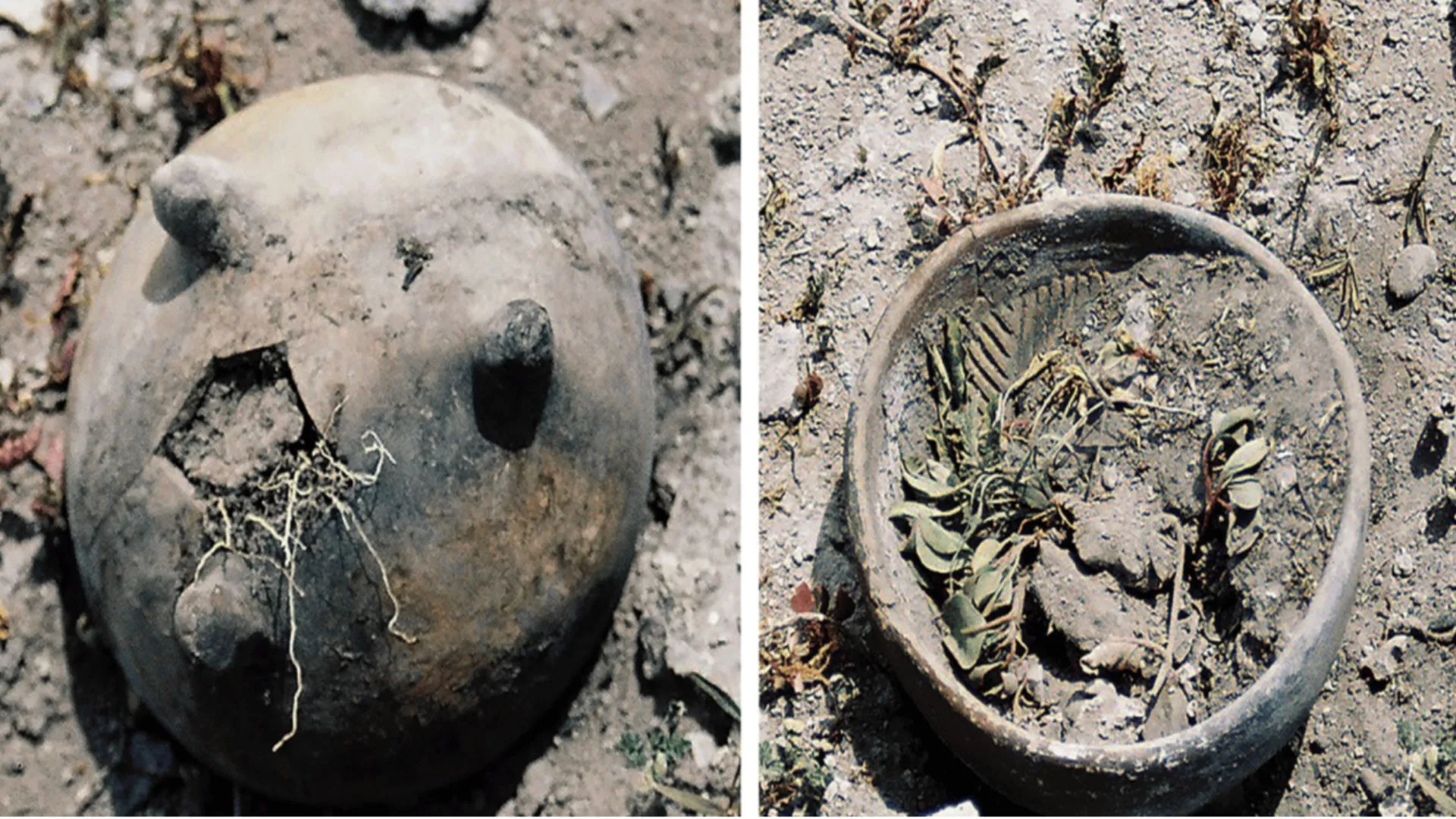 墨西哥稀有「雕像土丘」揭示農民在天文儀式中的角色