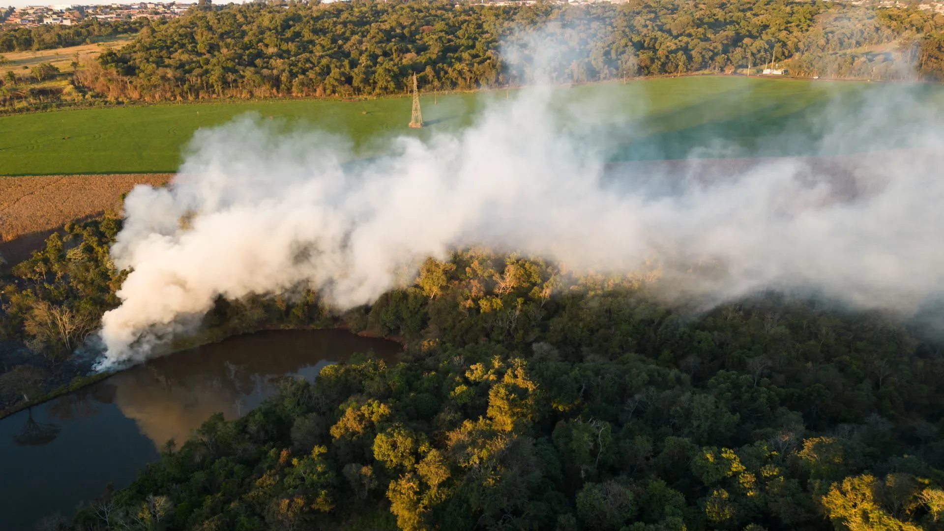 2024 年亞馬遜火災釋放 7.91 億噸二氧化碳：研究結果