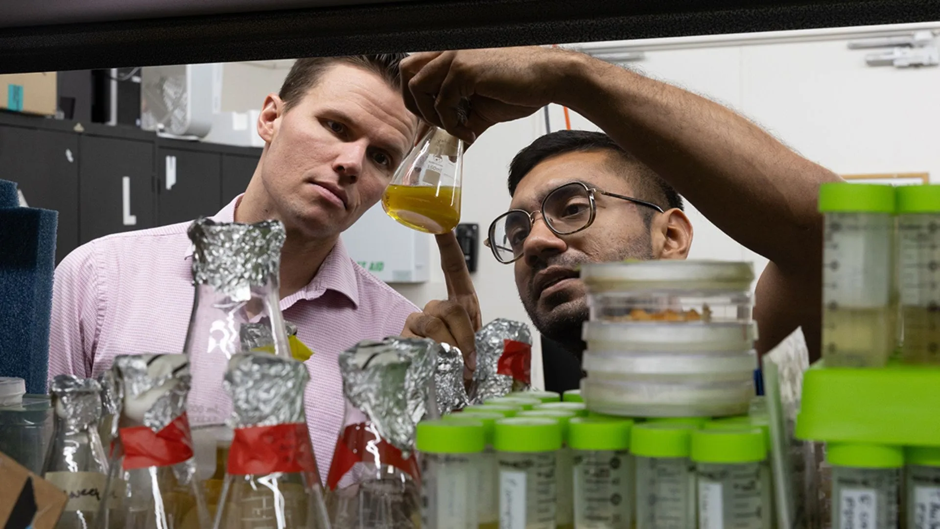 土壤真菌發現能生長水凝膠用於組織再生