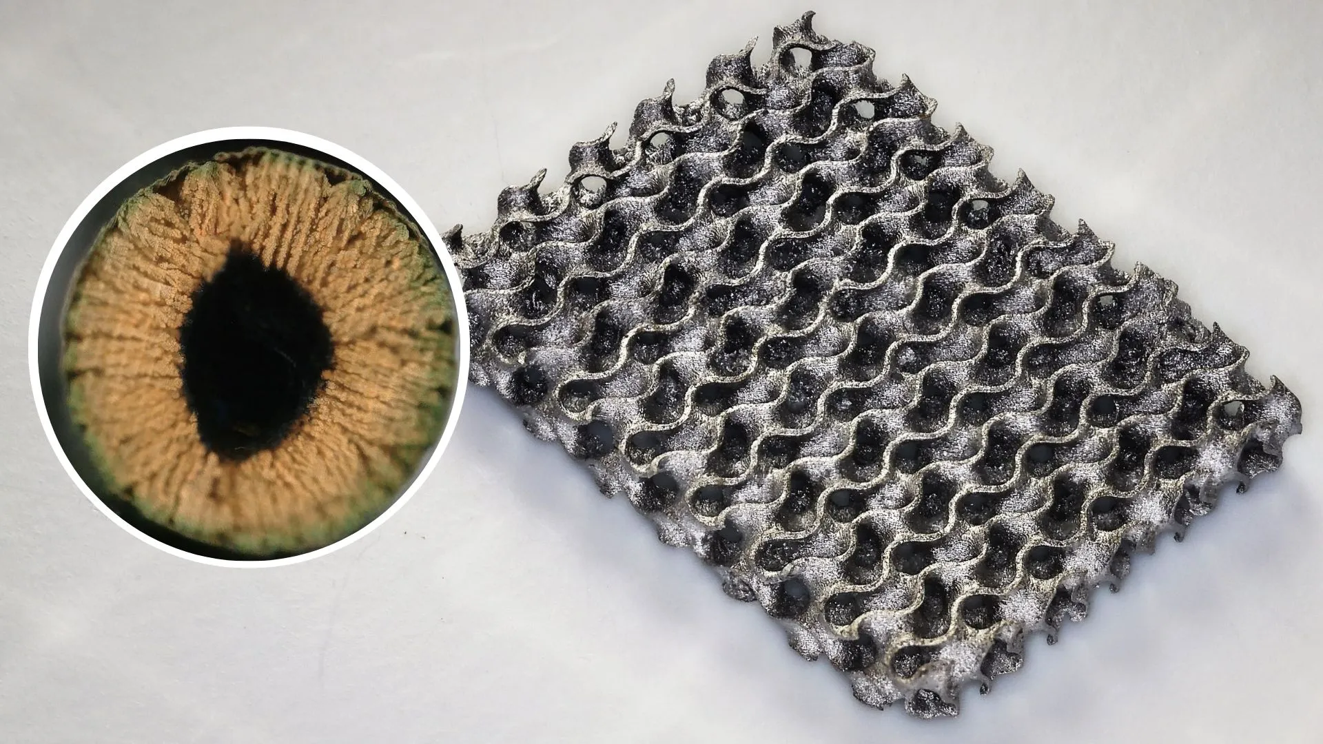 瑞士科學家的新型 3D 列印技術帶來超強材料