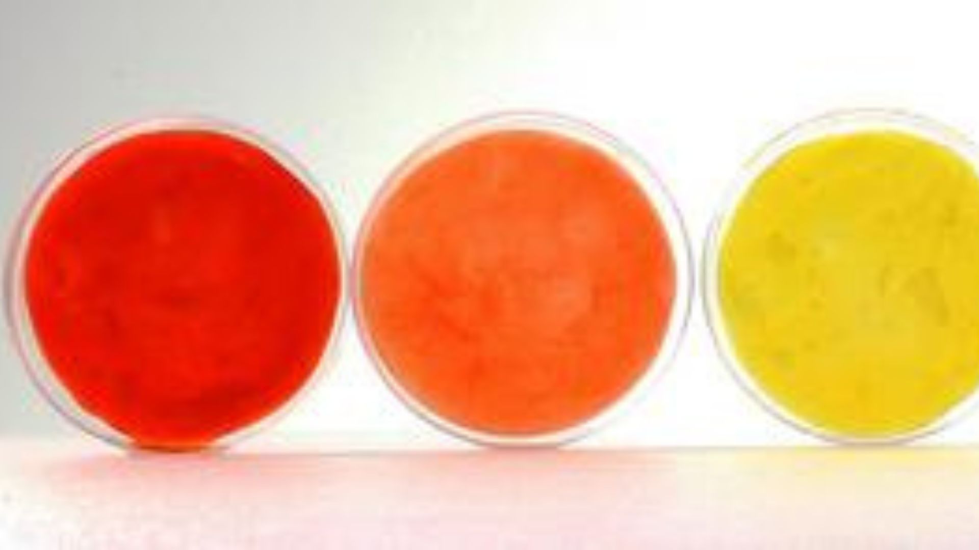 未來時尚或將由色彩細菌打造新型生物纖維