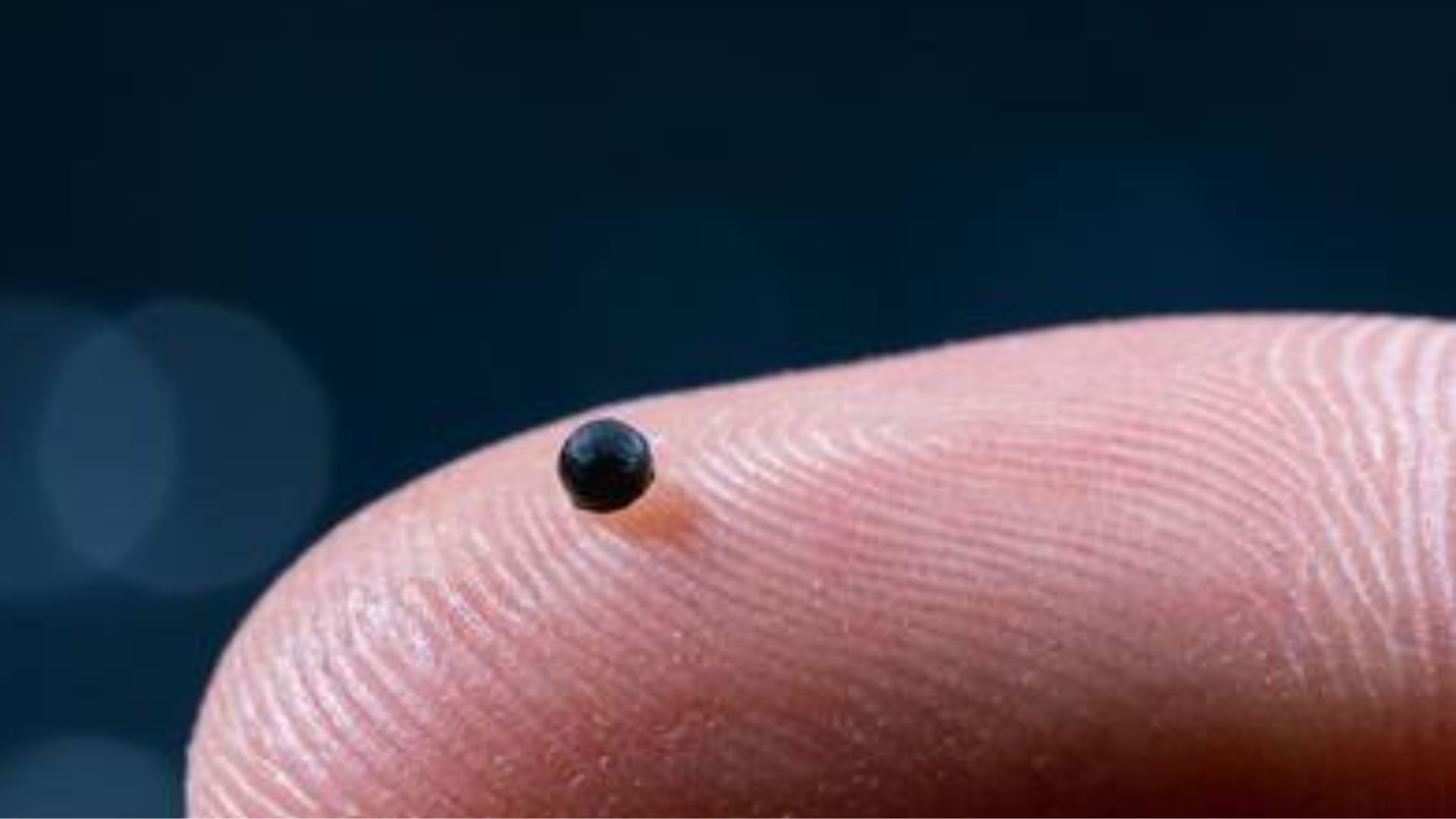 微型機器人將用於治療中風及腫瘤問題