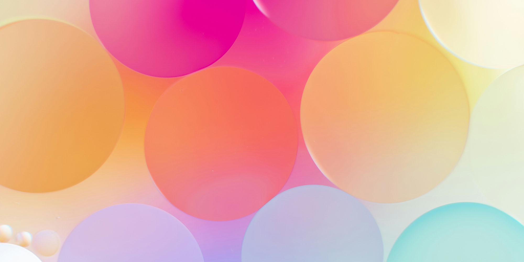 Apple CEO Tim Cook 65 歲生日後，傳出即將退休的消息，或將於明年發佈接班人計劃