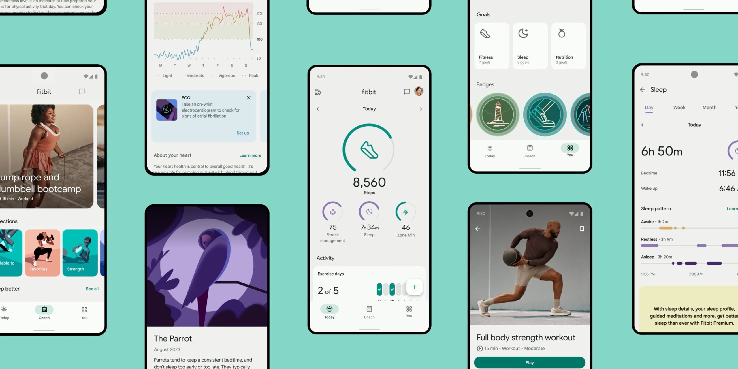 Fitbit Labs 測試「異常趨勢檢測」及高血壓研究，利用 Pixel Watch 3 數據
