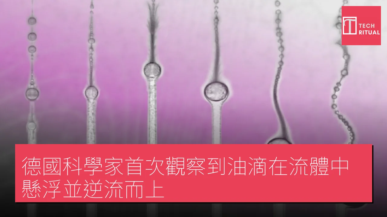 德國科學家首次觀察到油滴在流體中懸浮並逆流而上