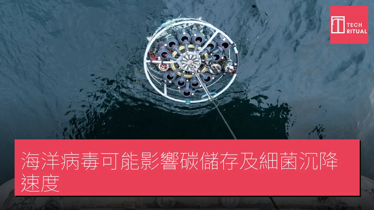 海洋病毒可能影響碳儲存及細菌沉降速度