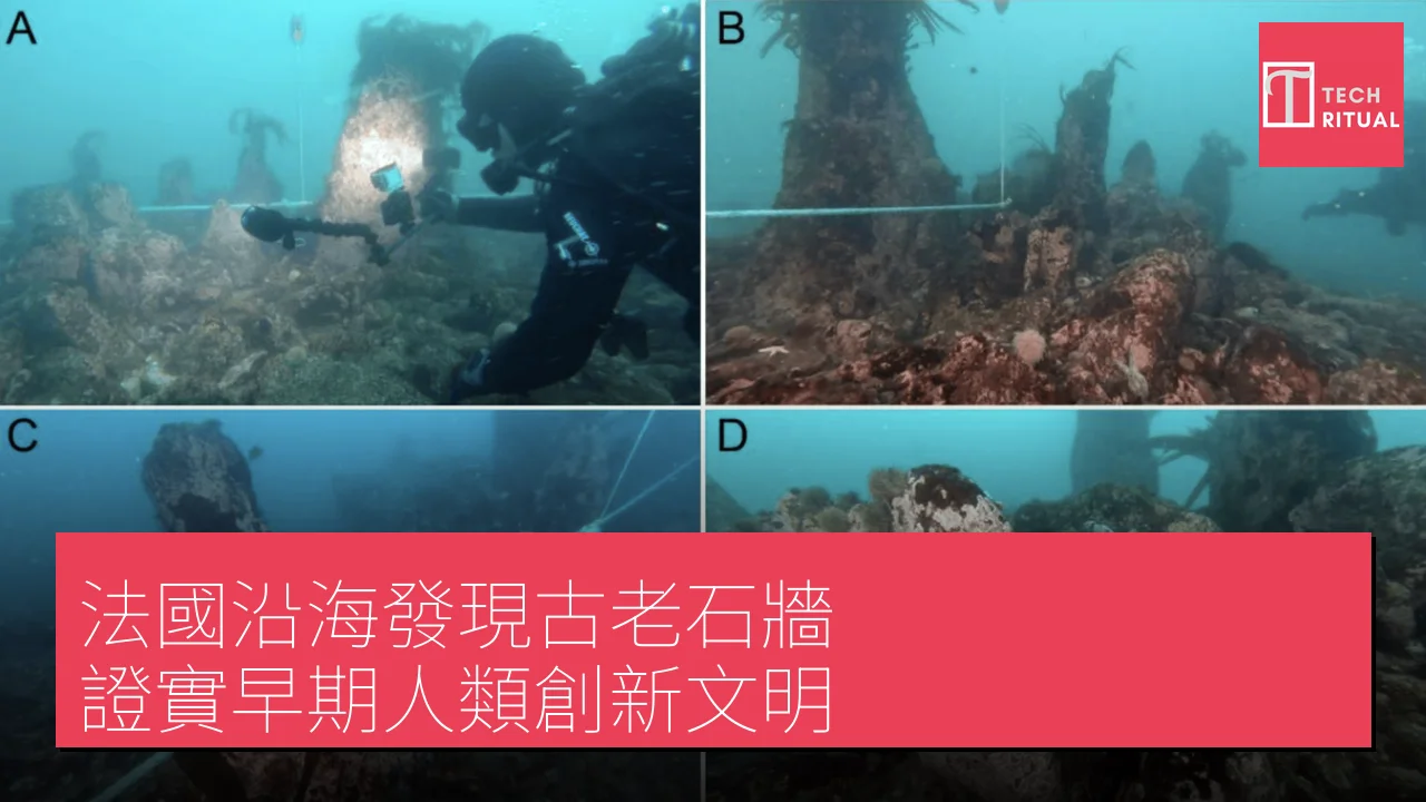 法國沿海發現古老石牆 證實早期人類創新文明