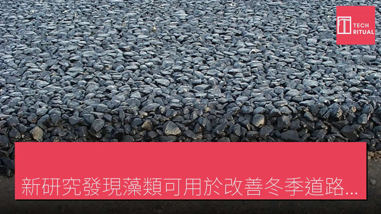 「新研究發現藻類可用於改善冬季道路耐用性」