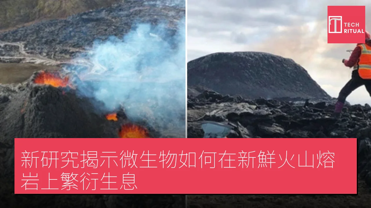 新研究揭示微生物如何在新鮮火山熔岩上繁衍生息