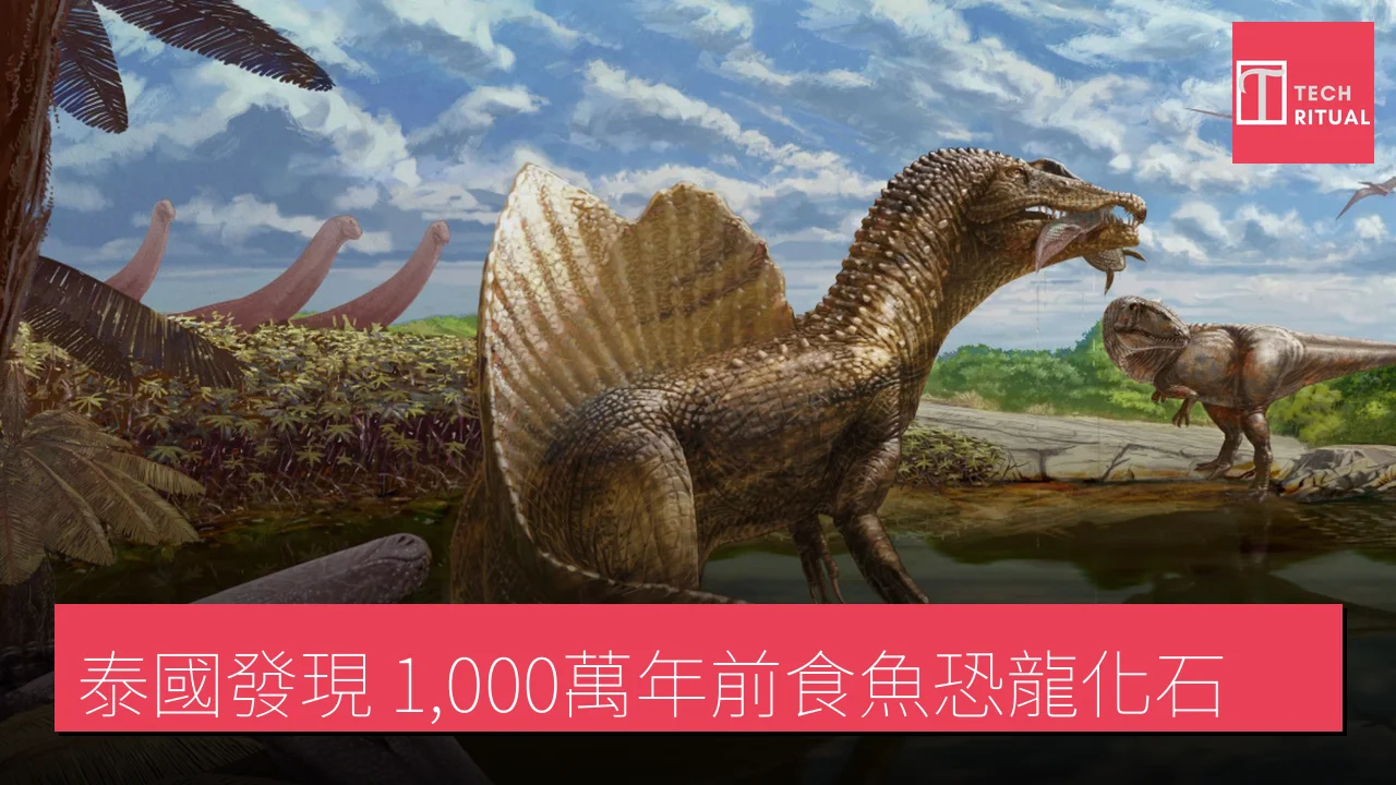 泰國發現 1,000萬年前食魚恐龍化石