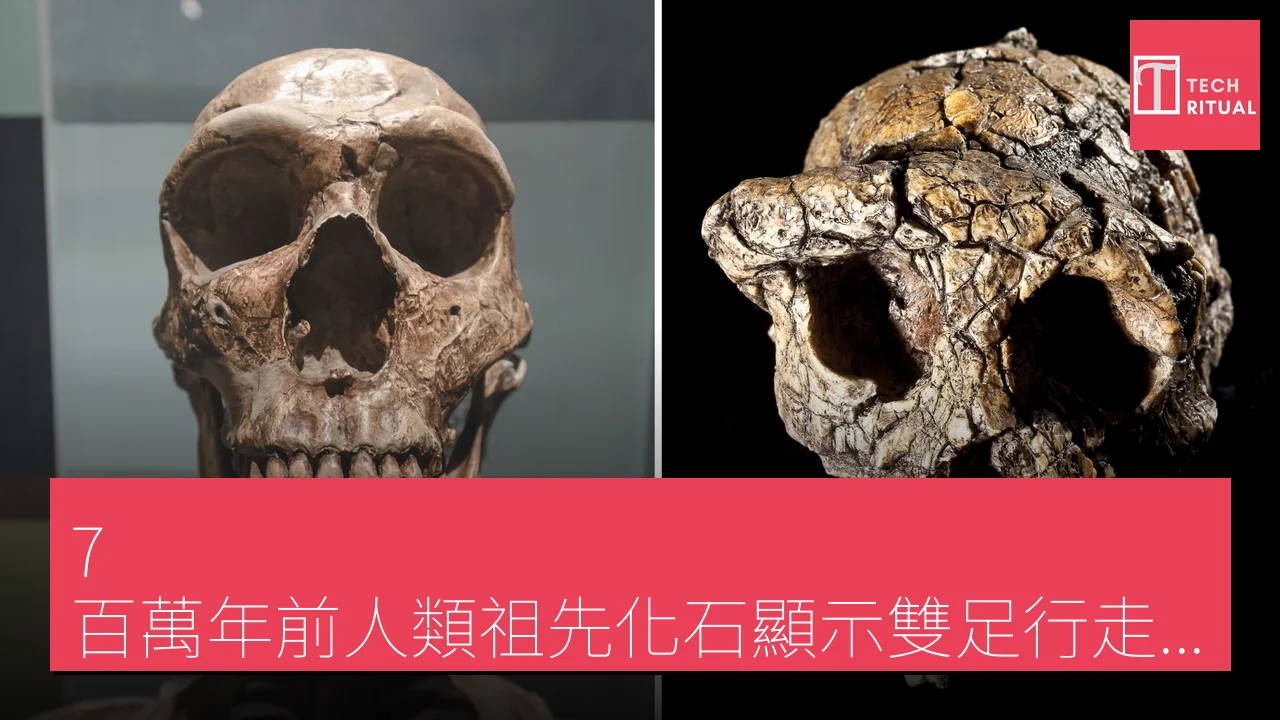 7 百萬年前人類祖先化石顯示雙足行走特徵