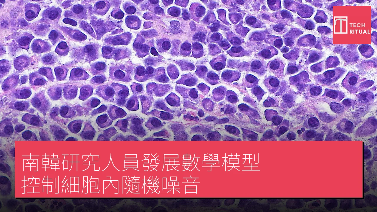 南韓研究人員發展數學模型 控制細胞內隨機噪音