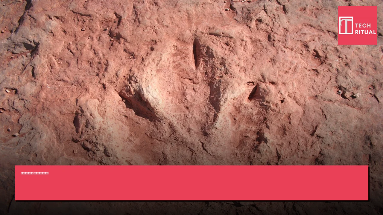 南非發現恐龍足跡 改變侏羅紀的歷史認知