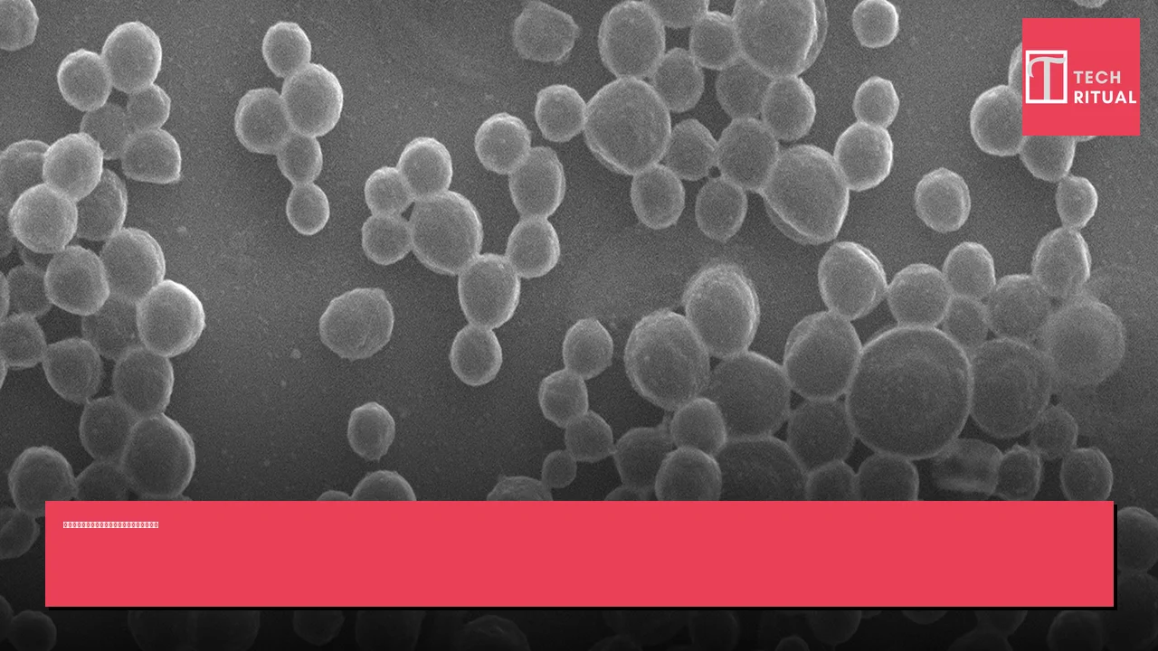 新型微氣泡機器人利用酶移動至腫瘤並傳遞藥物