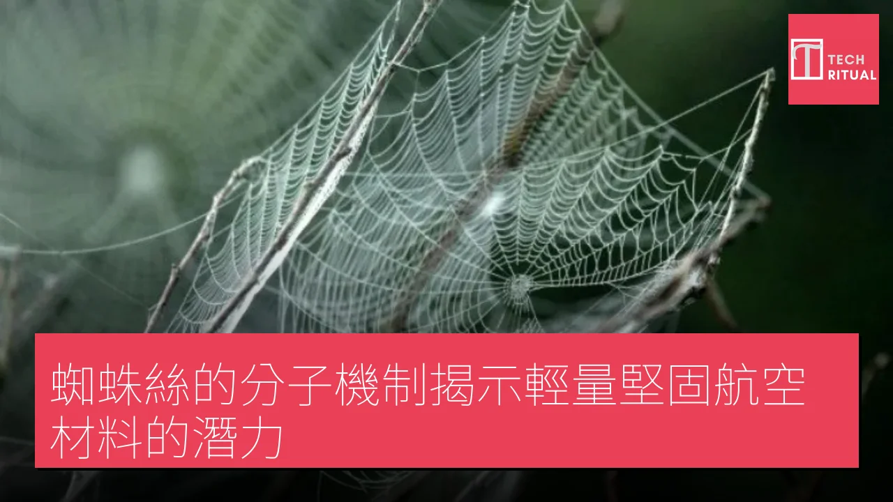 蜘蛛絲的分子機制揭示輕量堅固航空材料的潛力
