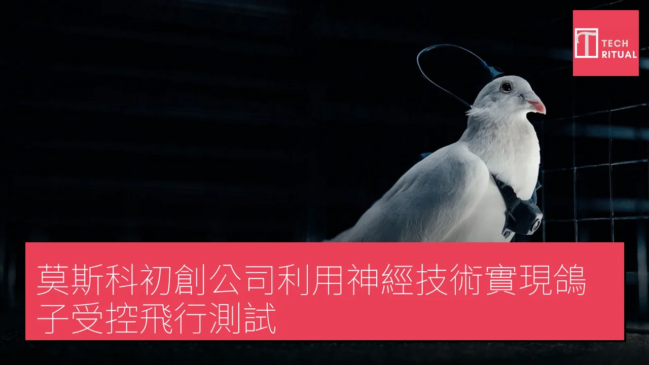 莫斯科初創公司利用神經技術實現鴿子受控飛行測試