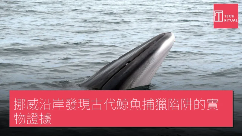 挪威沿岸發現古代鯨魚捕獵陷阱的實物證據