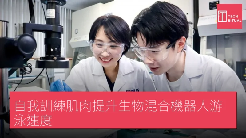 自我訓練肌肉提升生物混合機器人游泳速度