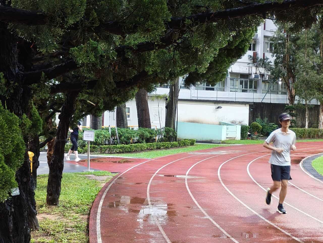 Nothing Phone (4b) - 日光下實拍：大樹、跑道同綠地，主鏡色彩自然、細節交代到